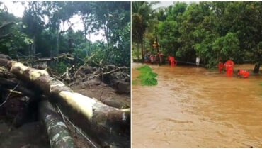 കനത്തമഴ നാശം വിതക്കുന്നു, കോട്ടയത്ത് ഉരുൾപ്പൊട്ടൽ, 7 വീടുകൾ തകർന്നു, വിവിധ മേഖലകളിൽ വെള്ളക്കെട്ട്; റെഡ് അലർട്ട് കൊച്ചിയിലും