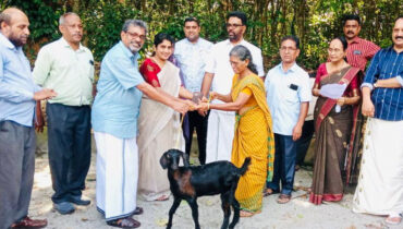 യുഎസ് ചേമ്പർ ഓഫ് കൊമേഴ്സിന്റെ സാമ്പത്തിക സഹായത്തോടെ ആട് ഗ്രാമം പദ്ധതിയുടെ ഭാഗമായി 12 ആടുകളെ നൽകി